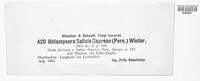 Melampsora caprearum image